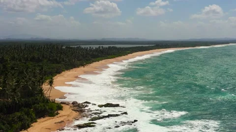 Beautiful beach, palm trees by turquoise water view from above. Stock Footage 233425824