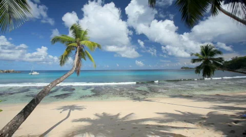 Beautiful beach with palmtrees Stock-Footage 473441