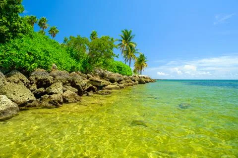 Beautiful beach Stock Photos