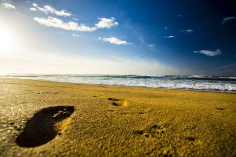 Beautiful beach Stock Photos
