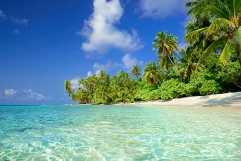 Beautiful beach Stock Photos