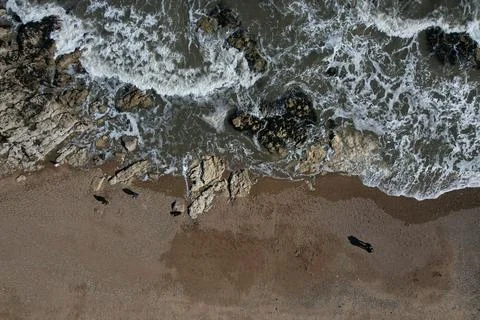 Beautiful beach Stock Photos