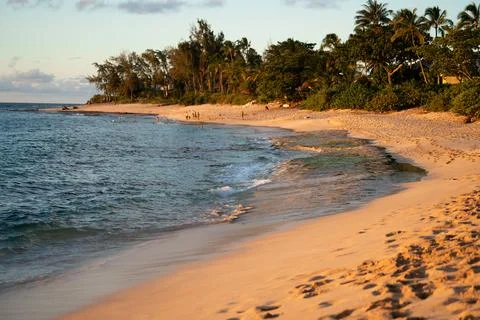 Beautiful Beach Photos