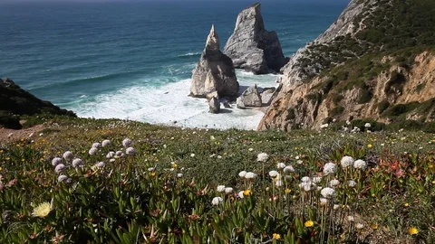 Beautiful beach Praia da Ursa at sunny summer day Видео 77466543