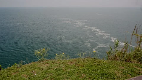 Beautiful beach by the sea Stock Footage 89965502