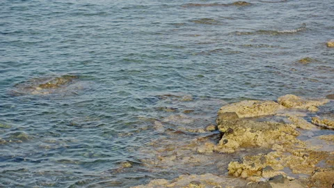 Beautiful beach by the sea Stock Footage 89966926