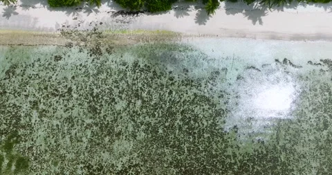 Beautiful beach an in Seychelles. Stock Footage 301787457