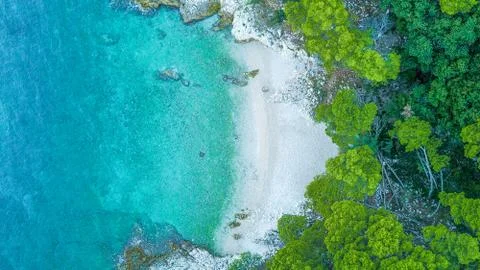 Beautiful beach in summer Stock Photos