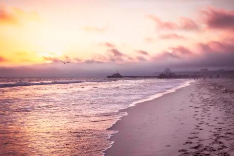 Beautiful beach on sunset Stock Photos