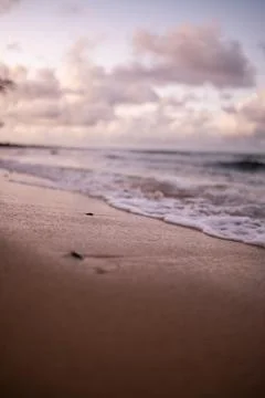 Beautiful Beach at Sunset Stock Photos
