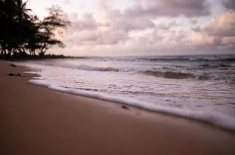 Beautiful Beach at Sunset Stock Photos