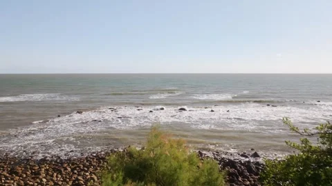 A beautiful beach with a tree in the background Stock Footage 297077559