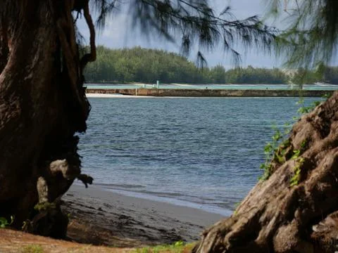 Beautiful beach view bordered by two big trees along Micro Beach, Saipan, N.. Stock Photos