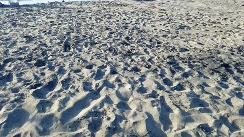 Beautiful beach view Vidéo 212006121