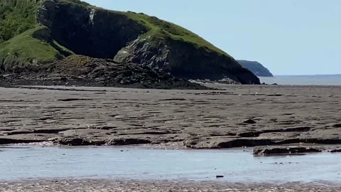 Beautiful beach view at low tide Stock Footage 149317560