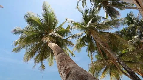 Beautiful beach view with slider motion Stock Footage 41583745