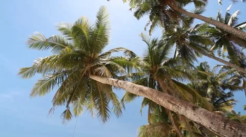 Beautiful beach view with slider motion Stock Footage 41583747