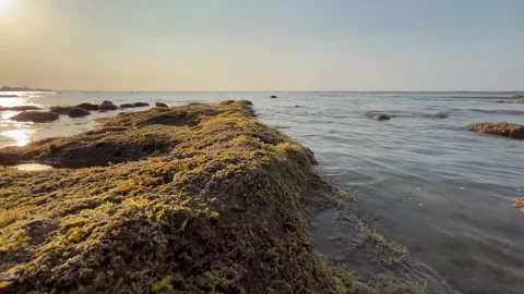 Beautiful beach view at sunset Stock Footage 286853373