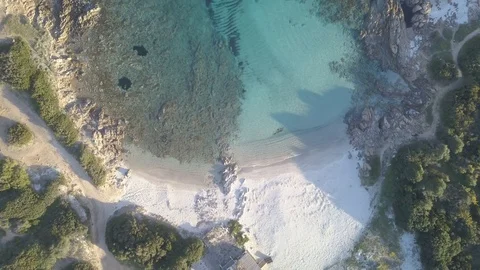 BEAUTIFUL BEACH WITH A WALKING MAN Stock-Footage 105873047
