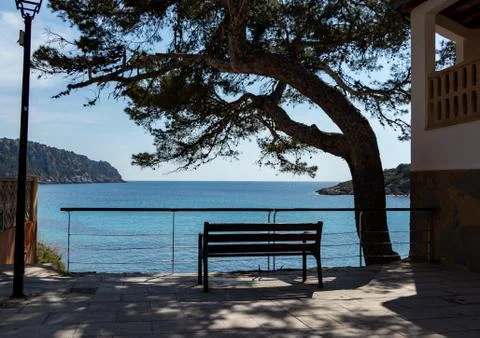 Beautiful bench under a big tree with view to the coastline of sant elm 스톡 사진