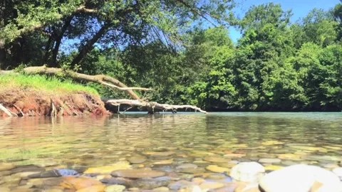 Beautiful Bend of the River Aare Video stock 95967266