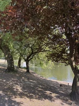 Beautiful big trees with red and green leaves near pond with ducks in it Stock Photos