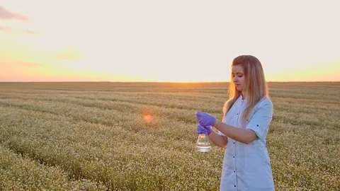 A beautiful biologist examines chamomile before using in cosmetics Stock Footage 93848335