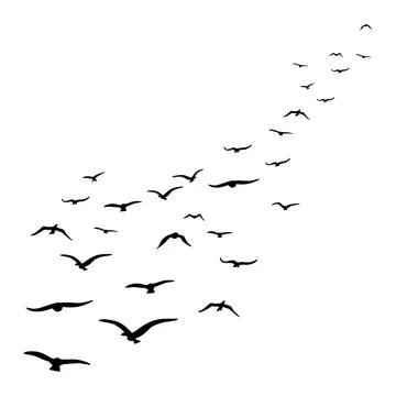 Beautiful birds fly Stock Illustration