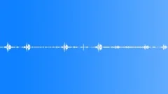 Beautiful BirdsongSound Effect