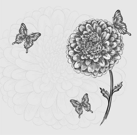 Beautiful black-and-white flower with butterflies Stock Illustration