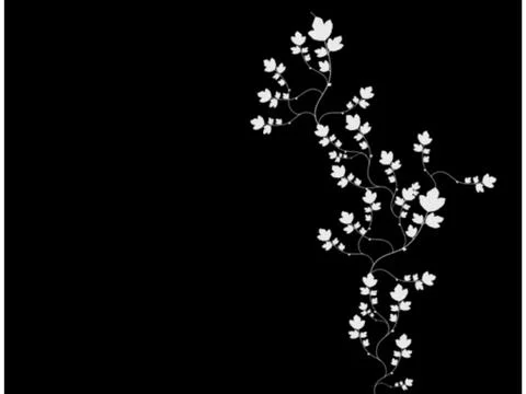 Beautiful black flowers wallpapper background Stock Illustration