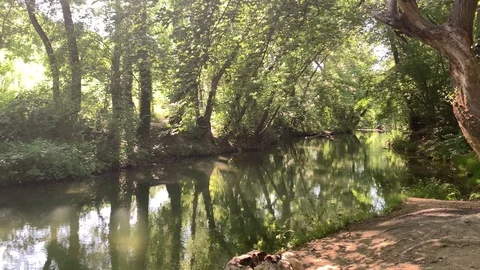 Beautiful Black River Stock Footage 119337999