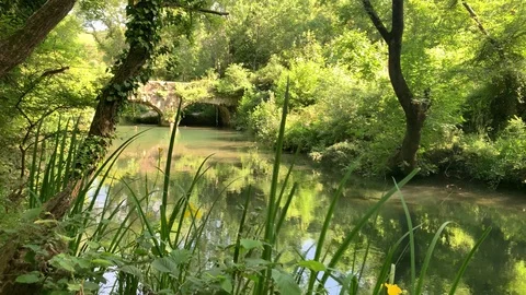 Beautiful Black River Stock Footage 119338037