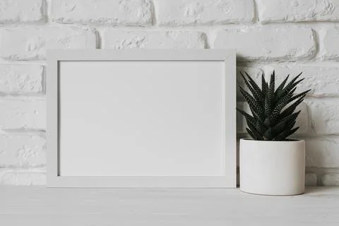 Beautiful blank frame concept. High quality beautiful photo concept Stock Photos
