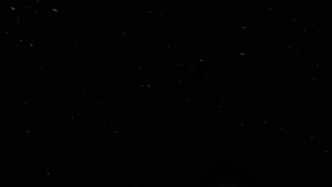 Beautiful blizzard. Falling snow on a black background. 動画素材 166178083