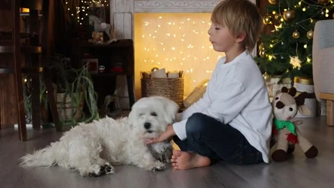 Beautiful blond child, young school boy, playing in a decorated home with k.. Stock Footage 263188346