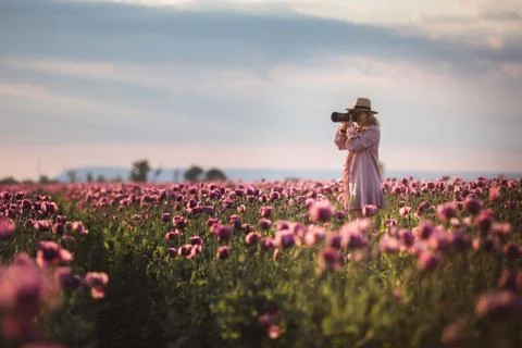 Beautiful blond-hair woman in hat takes photos in the Lilac Poppy Flowers field Stock Photos