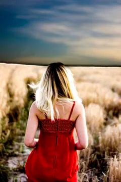 Beautiful blond woman in a red dress, on a wheat field at sunset Stock Photos