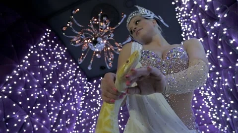 Beautiful blonde girl and python Stock Footage 61062270