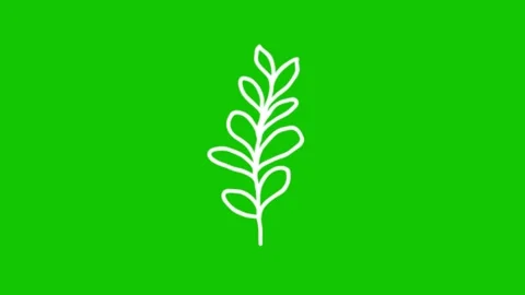 Beautiful Blooming Flower Animation 库存影片 340368015