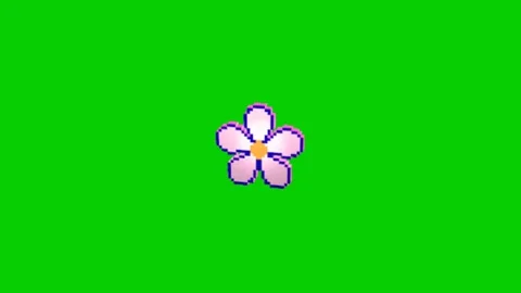Beautiful Blooming Flower Animation Loop Video stock 340537448