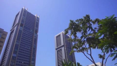 Beautiful blue building on a background of trees Stock Footage 71524546