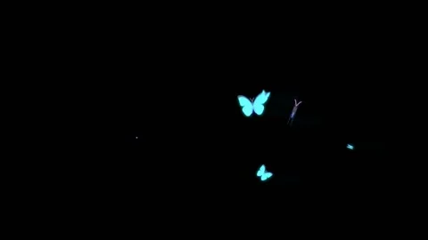 Beautiful Blue Colored Butterfly Flying ... | Stock Video | Pond5