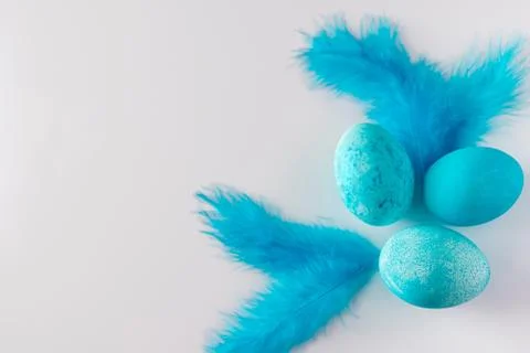 Beautiful blue easter eggs and feathers on a light background. Stock Photos