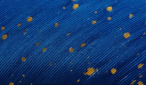 Beautiful blue feather background close up Stock Photos