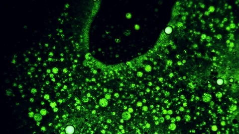 Beautiful blue liquid green pattern with bubbles Stock Footage 125960003