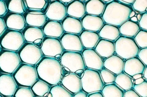 A beautiful blue microstructure of thin lines Stock Photos