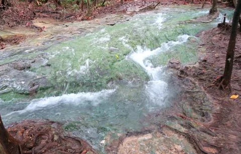 Beautiful blue river in the forest Stock Photos