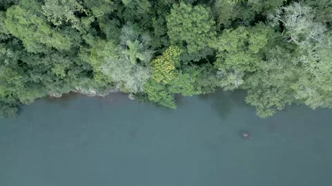 A beautiful blue river next to the Atlantic forest. Video stock 332260721