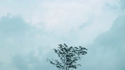 Beautiful blue sky and clouds with daylight natural background. 動画素材 229107371